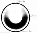 Fig. 01 - Tinted contact lenses with crescent patterns