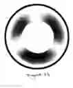 Fig. 07 - Tinted contact lenses with crescent patterns