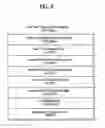 Fig. 06 - Method for ensuring synchronous presentation of additional data with audio data