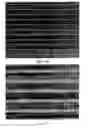 Fig. 10 - Electrographic dot gain and optical density decoupling method, xerographic image reproduction, and systems, methods and software related thereto