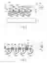 Fig. 03 - Method for assembling drum drive unit capable of reducing drum rotational speed fluctuations and image formation apparatus containing a drum drive unit