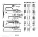 Fig. 02 - INSULIN-DEGRADING ENZYME MUTANTS AND METHODS OF USE