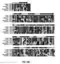 Fig. 07 - INSULIN-DEGRADING ENZYME MUTANTS AND METHODS OF USE