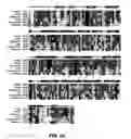Fig. 08 - INSULIN-DEGRADING ENZYME MUTANTS AND METHODS OF USE
