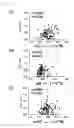 Fig. 02 - VASCULAR RESTENOSIS PREVENTING AGENT AND IMPLANTABLE INTRAVASCULAR DEVICE COATED THEREWITH