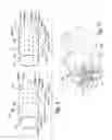 Fig. 09 - Compositions and methods for treating digestive disorders
