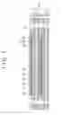 Fig. 02 - Fuel cell