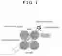 Fig. 02 - Catalyst structure body for fuel cell, manufacture method therefor, membrane-electrode assembly, and fuel cell