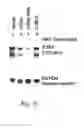 Fig. 22 - Multivalent rna nanoparticles for delivery of active agents to a cell