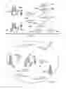 Fig. 02 - System and method for handling emergency image messaging