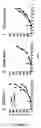 Fig. 06 - Toll like receptor 4 dysfunction and the biological applications thereof