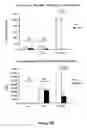 Fig. 14 - Toll like receptor 4 dysfunction and the biological applications thereof