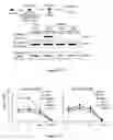 Fig. 27 - Toll like receptor 4 dysfunction and the biological applications thereof