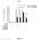 Fig. 28 - Toll like receptor 4 dysfunction and the biological applications thereof