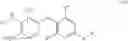 Fig. 22 - HETEROCYCLIC COMPOUNDS AS AGANIST FOR THE THYROID RECEPTOR