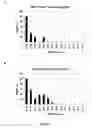 Fig. 02 - METHODS AND COMPOSITIONS FOR THE SPECIFIC INHIBITION OF GENE EXPRESSION BY DOUBLE-STRANDED RNA
