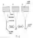Fig. 13 - Sidewall tracing nanoprobes, method for making the same, and method for use