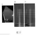 Fig. 18 - Sidewall tracing nanoprobes, method for making the same, and method for use