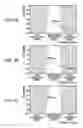 Fig. 05 - Volume adjusting apparatus and volume adjusting method