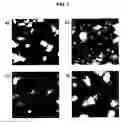 Fig. 06 - Organic semiconductor compound based on 2,7-bis-(vinyl)[1]benzothieno[3,2-b]benzothiophene, organic semiconductor thin film and transistor using the same and methods of forming the same