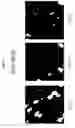 Fig. 10 - Organic semiconductor compound based on 2,7-bis-(vinyl)[1]benzothieno[3,2-b]benzothiophene, organic semiconductor thin film and transistor using the same and methods of forming the same