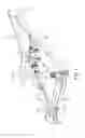 Fig. 02 - Rear suspension system for bicycles