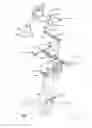 Fig. 03 - Standing frame with supine mode