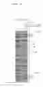 Fig. 16 - DC Pulse Electric Generating System and Methods Thereof