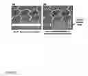 Fig. 55 - Electrochemical methods, devices, and structures