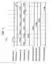 Fig. 12 - Semiconductor device, display panel, and electronic apparatus