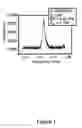 Fig. 02 - Nano electromechanical integrated-circuit filter