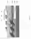 Fig. 15 - Nano electromechanical integrated-circuit filter