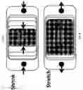 Fig. 06 - Handheld Electronic Apparatus with Multiple Input Devices