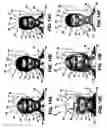 Fig. 11 - Do-It-Yourself photo realistic talking head creation system and method
