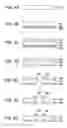 Fig. 04 - Liquid ejection head and process for producing the same