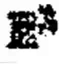 Fig. 02 - Foreground/background segmentation in digital images with differential exposure calculations