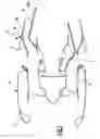 Fig. 06 - Nacelle for the jet engine of an aircraft