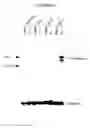 Fig. 16 - P450RAI-2 (P450 CYTOCHROME 26B), ENCODING NUCLEIC ACID MOLECULES AND METHODS AND USES THEREOF