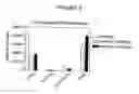 Fig. 19 - P450RAI-2 (P450 CYTOCHROME 26B), ENCODING NUCLEIC ACID MOLECULES AND METHODS AND USES THEREOF