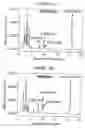 Fig. 24 - P450RAI-2 (P450 CYTOCHROME 26B), ENCODING NUCLEIC ACID MOLECULES AND METHODS AND USES THEREOF