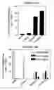 Fig. 26 - P450RAI-2 (P450 CYTOCHROME 26B), ENCODING NUCLEIC ACID MOLECULES AND METHODS AND USES THEREOF
