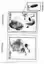 Fig. 33 - P450RAI-2 (P450 CYTOCHROME 26B), ENCODING NUCLEIC ACID MOLECULES AND METHODS AND USES THEREOF