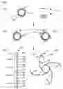 Fig. 02 - UNPROCESSED ROLLING CIRCLE AMPLIFICATION PRODUCT