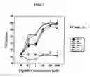 Fig. 02 - Peptide analogs capable of enhancing stimulation of a glioma-specific CTL response