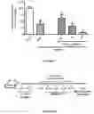 Fig. 07 - METHOD FOR TREATING CARDIOVASCULAR DISEASES USING RHO KINASE INHIBITOR COMPOUNDS