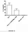 Fig. 09 - METHOD FOR TREATING CARDIOVASCULAR DISEASES USING RHO KINASE INHIBITOR COMPOUNDS