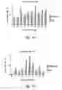 Fig. 28 - COMPOSITIONS AND METHODS FOR TREATING ASTHMA AND OTHER LUNG DISORDERS