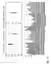 Fig. 34 - COMPOSITIONS AND METHODS FOR TREATING ASTHMA AND OTHER LUNG DISORDERS