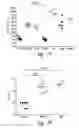 Fig. 60 - COMPOSITIONS AND METHODS FOR TREATING ASTHMA AND OTHER LUNG DISORDERS