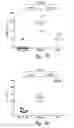 Fig. 61 - COMPOSITIONS AND METHODS FOR TREATING ASTHMA AND OTHER LUNG DISORDERS